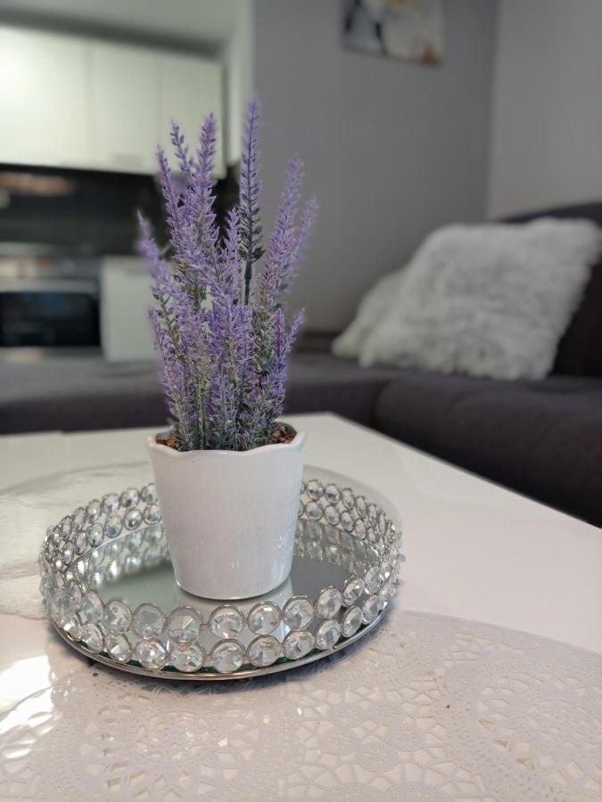 Petra Apartment Dakovo Ngoại thất bức ảnh